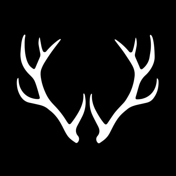 Wild Life Tattoo